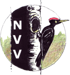 nvvordemwald.ch